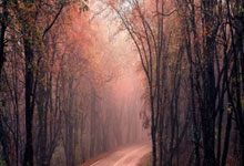 全运会乒乓球资格赛落幕 陈垣宇搭上晋级末班车.