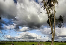 豪门国际：健康早间操：郑少忠带来壶铃摇摆教学.